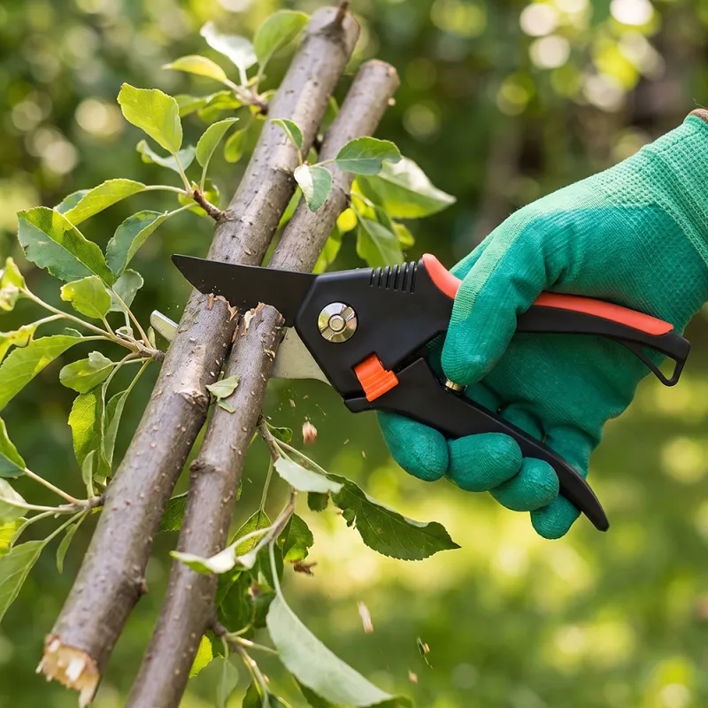 Bypass Secateurs - Black / Red Handle